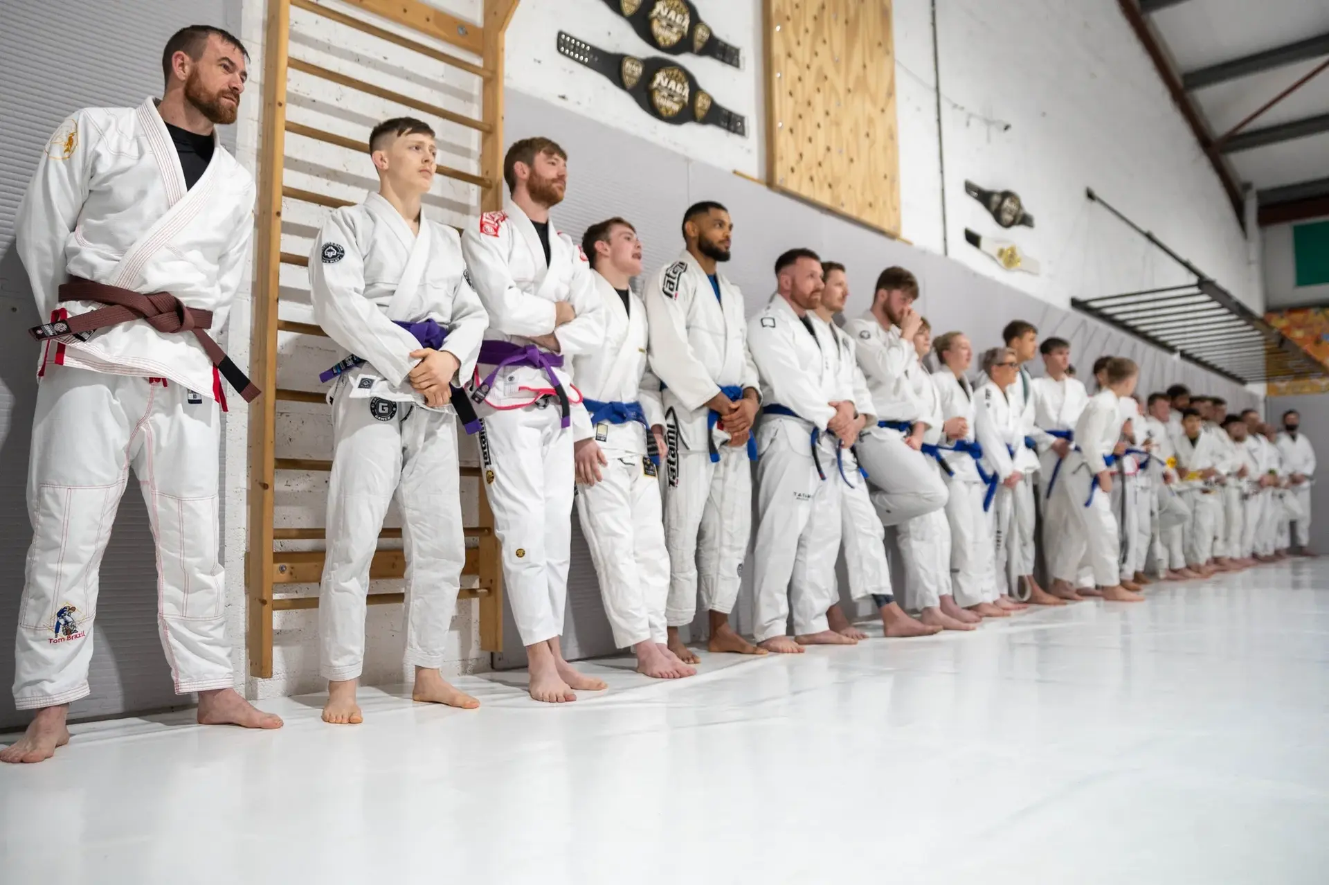 BJJ Adults